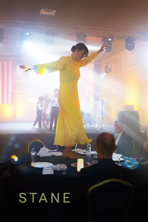 Movie poster "Stane"