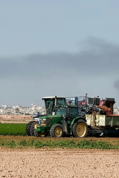 Movie poster "Collapse"