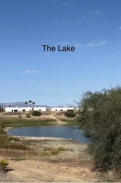 Movie poster "The Lake"