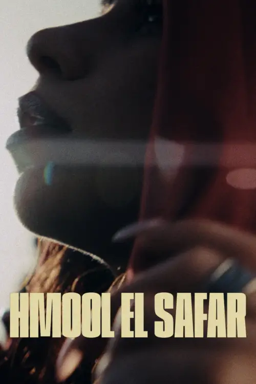 Movie poster "Travelling Baggage"