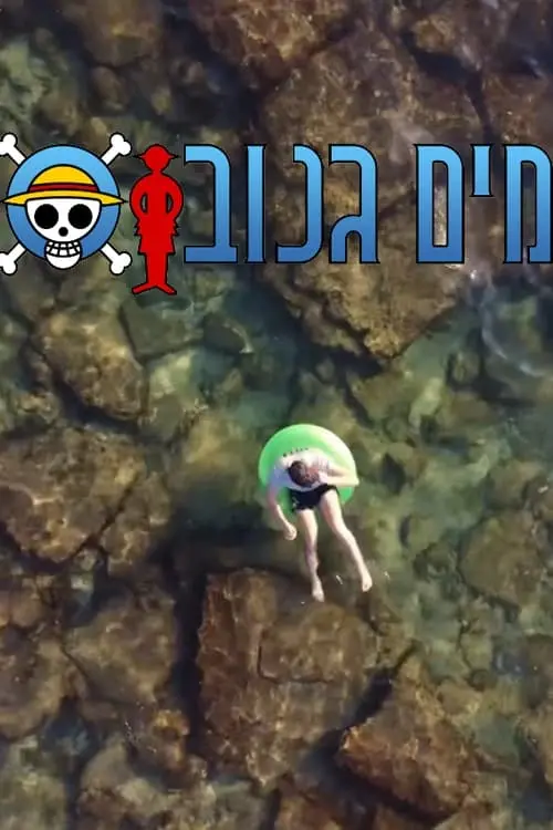 Movie poster "Stolen Water"