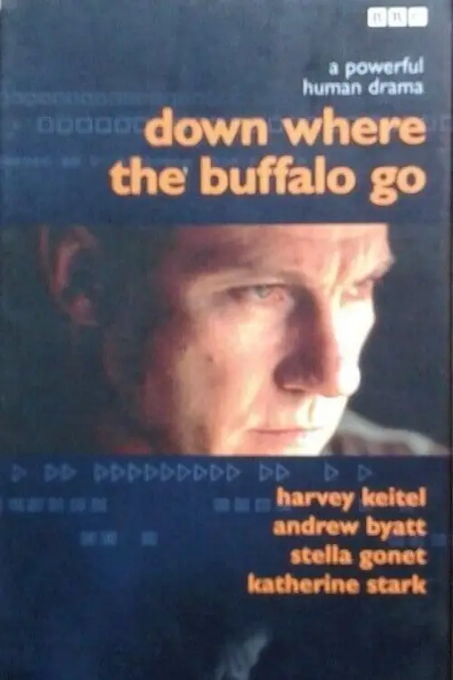 Movie poster "Down Where the Buffalo Go"