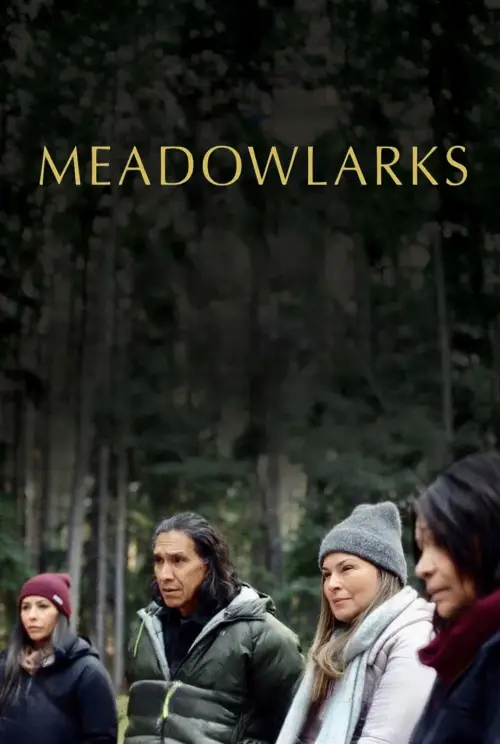 Movie poster "Meadowlarks"