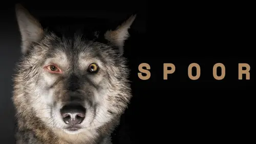 Watch film Spoor | SPOOR (POKOT) - trailer EN