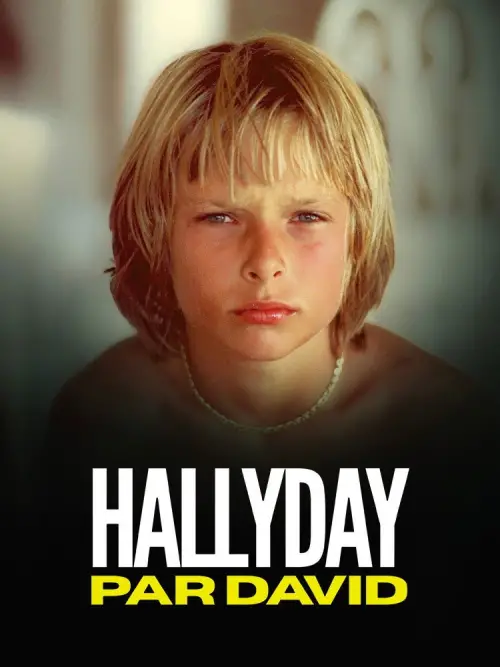 Movie poster "Hallyday par David"