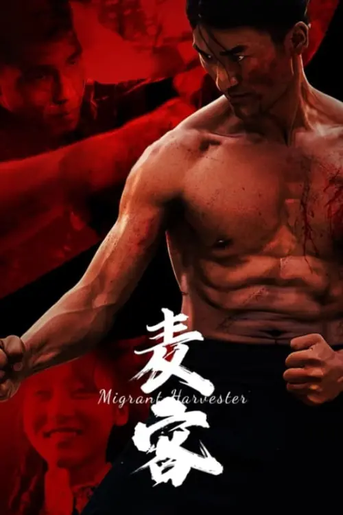 Movie poster "麦客"