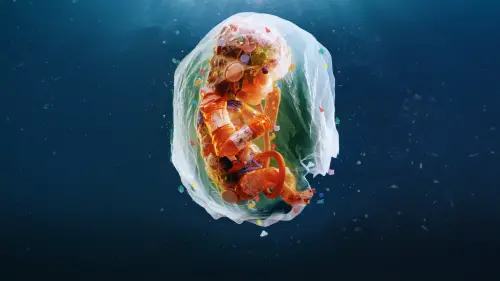 Watch film Plastic People | Plastic People | Official Trailer | Documentary