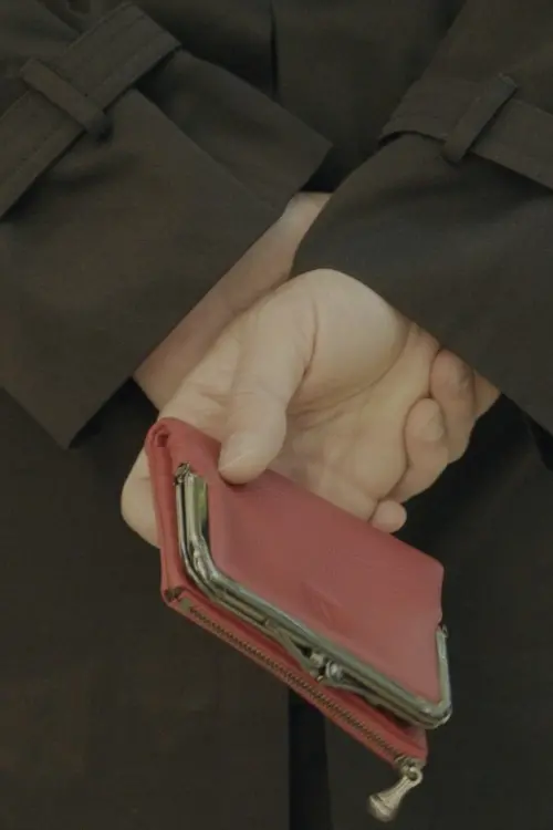 Movie poster "Wallet"