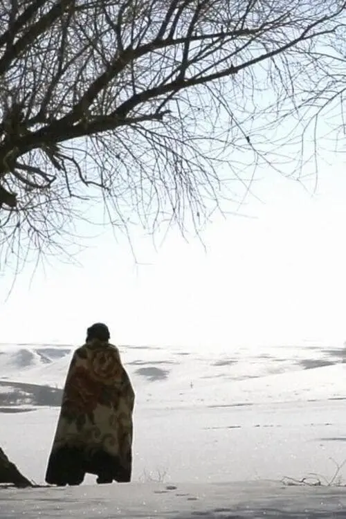 Movie poster "Habibullah"