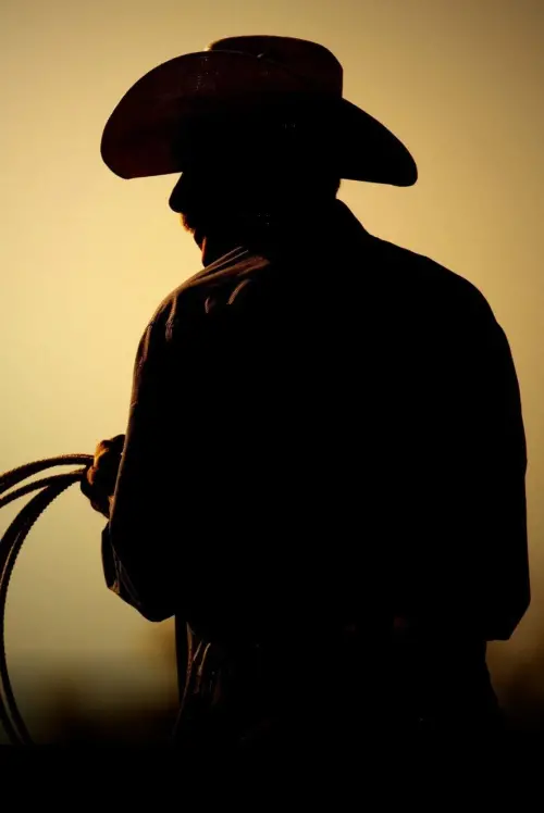 Movie poster "The Last Rodeo"