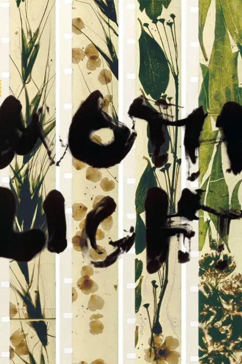 Movie poster "Mothlight"