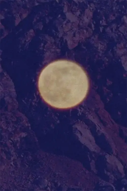 Movie poster "I Would Rather Be a Stone"