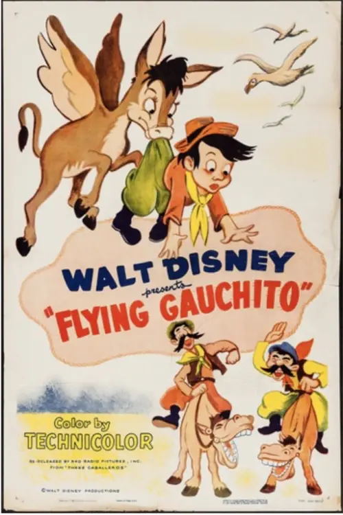 Movie poster "The Flying Gauchito"