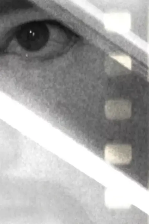 Movie poster "Notes on the Death of A Cinema"