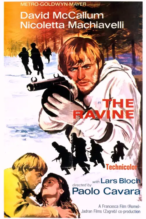 Movie poster "The Ravine"
