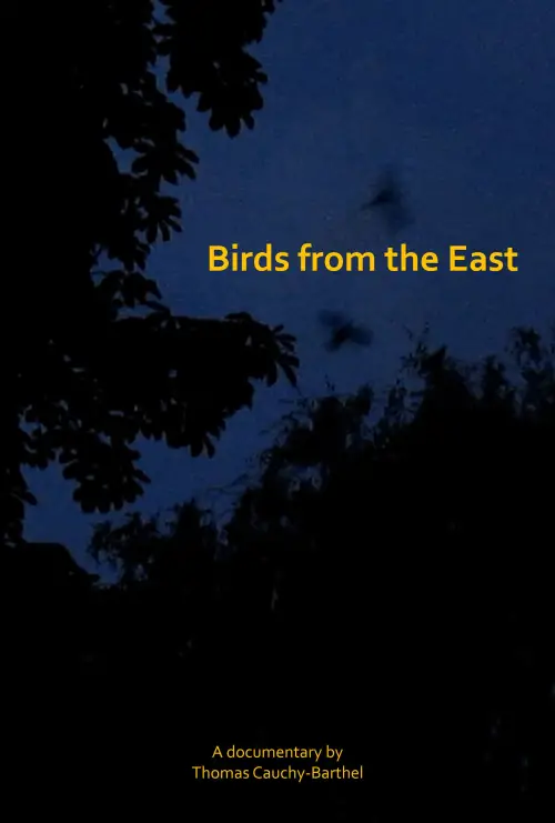 Movie poster "Les oiseaux de l