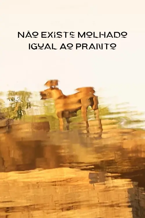 Movie poster "Não Existe Molhado Igual Ao Pranto"