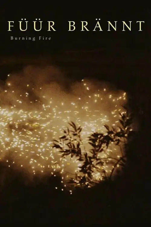 Movie poster "Burning Fire"