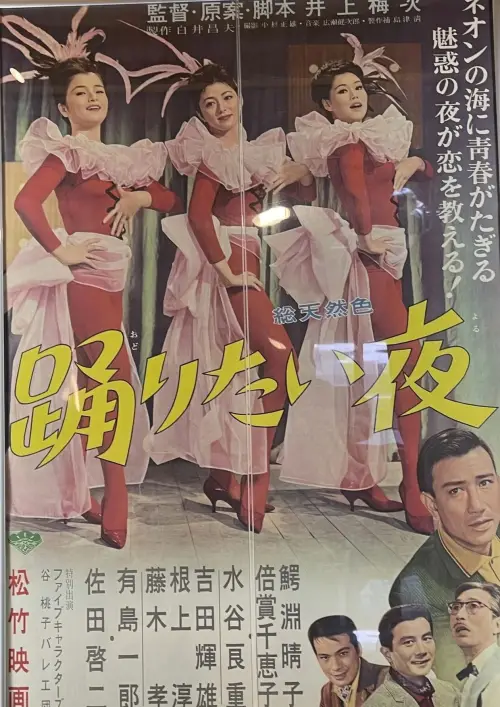 Movie poster "The Night We Danced"