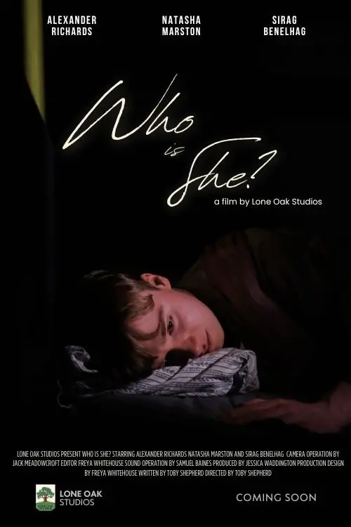Movie poster "Who is She?"