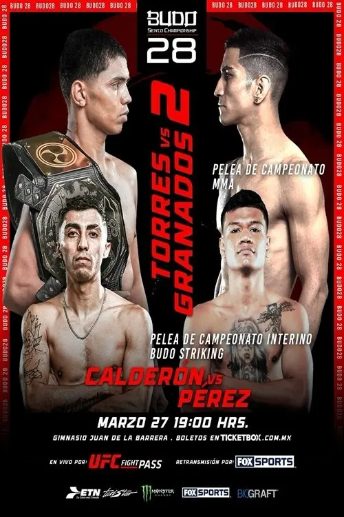 Movie poster "Budo Sento Championship 28"