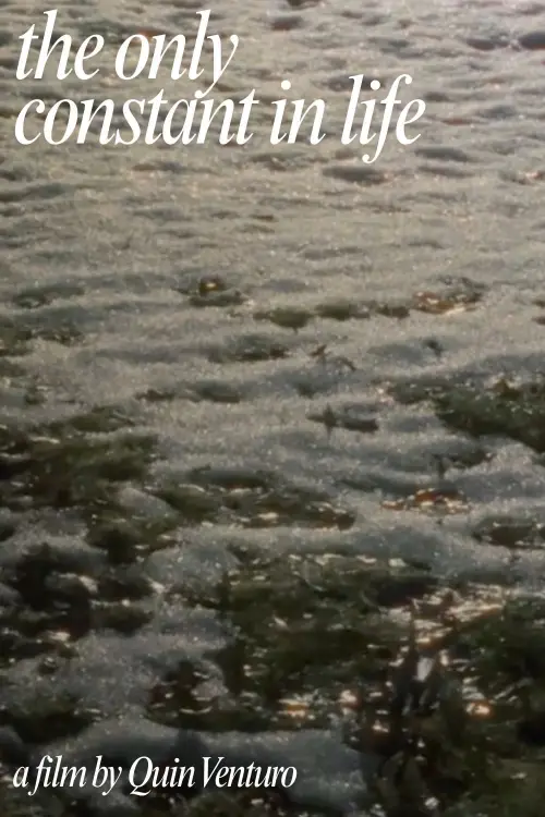 Movie poster "The Only Constant In Life"