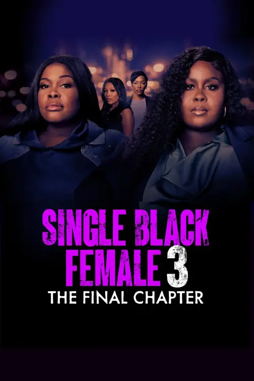 Movie poster "Single Black Female 3: The Final Chapter"
