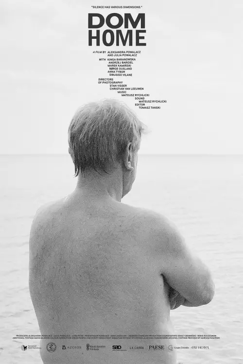 Movie poster "Dom/Home"