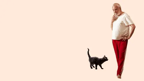 Watch film Last Dance ! | LAST DANCE - BANDE ANNONCE