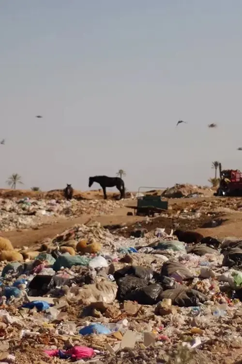 Movie poster "The Danger That Saves"