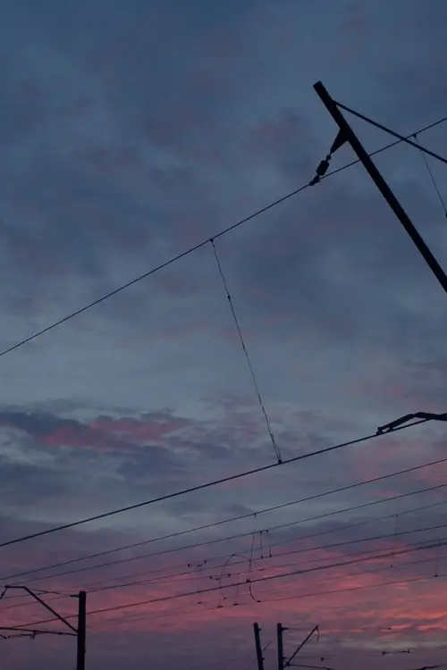 Movie poster "The Smell of Lilac"