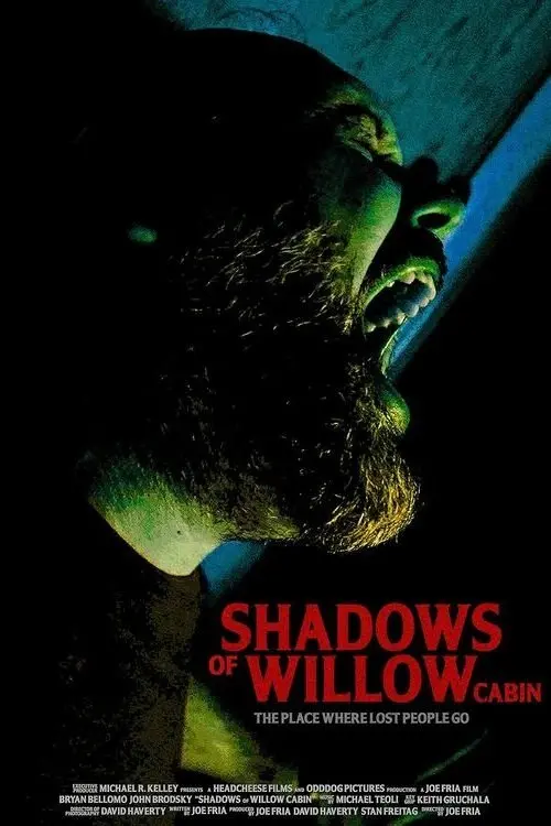 Movie poster "Shadows of Willow Cabin"