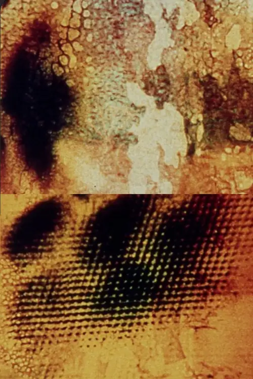 Movie poster "Aftermath"