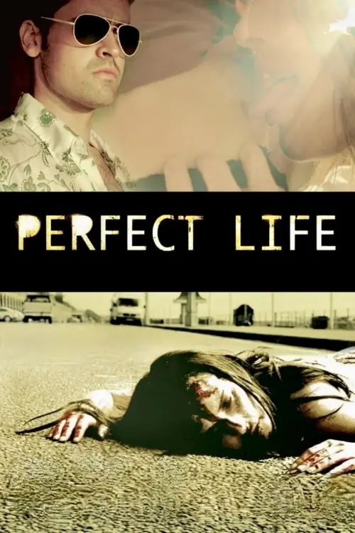 Movie poster "Perfect Life"