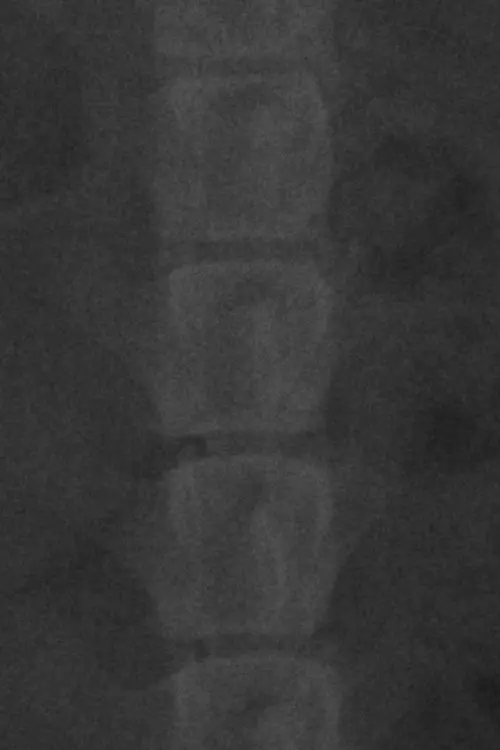 Movie poster "CIUDAD DE LA PAZ."