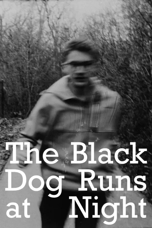 Movie poster "The Black Dog Runs At Night"