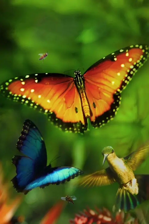 Movie poster "Wings of Life"