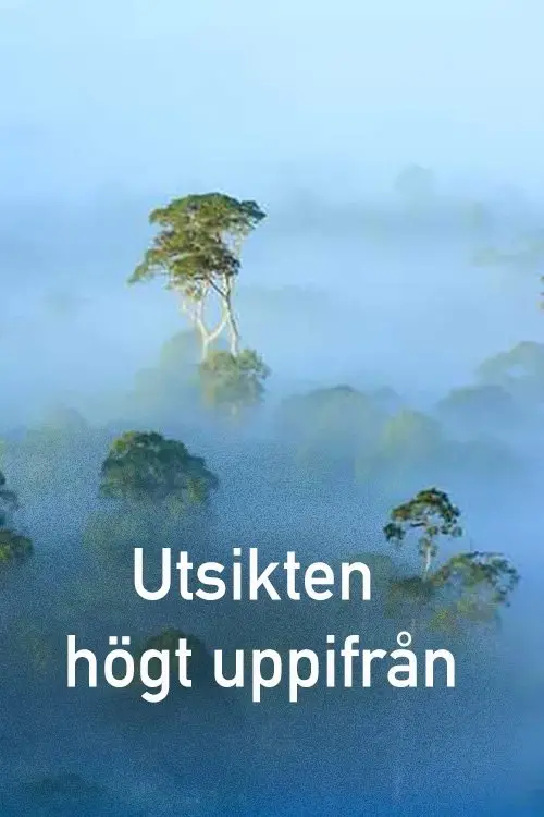 Movie poster "The View From on High"