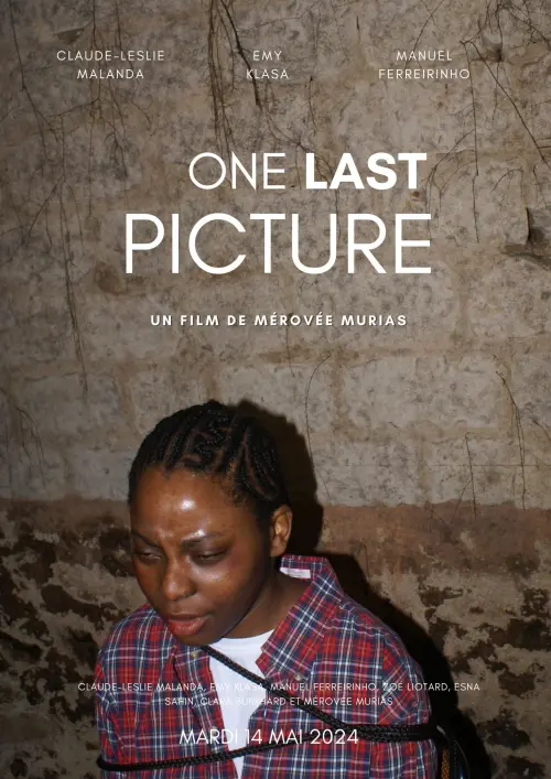 Movie poster "One Last Picture"