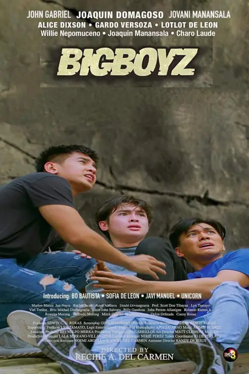 Movie poster "Bigboyz"