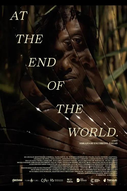 Movie poster "At the End Of The World"