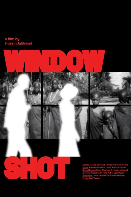 Movie poster "Window Shot"