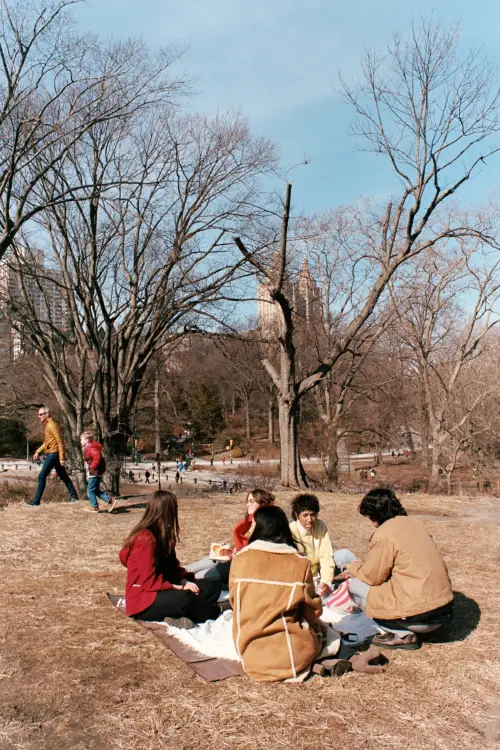 Movie poster "DeadLeaF"