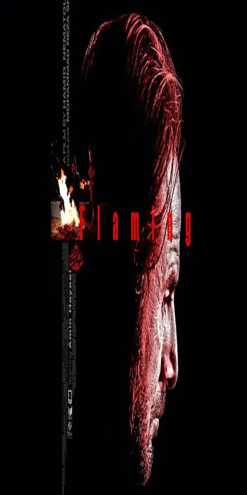 Movie poster "Flaming"