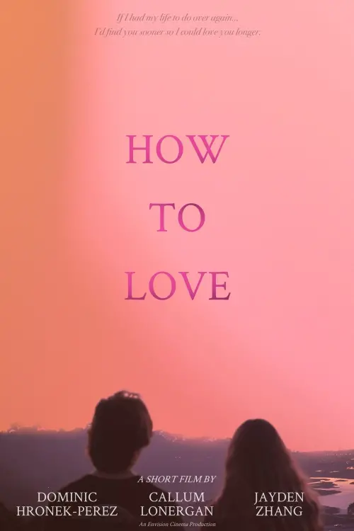 Movie poster "How to Love"
