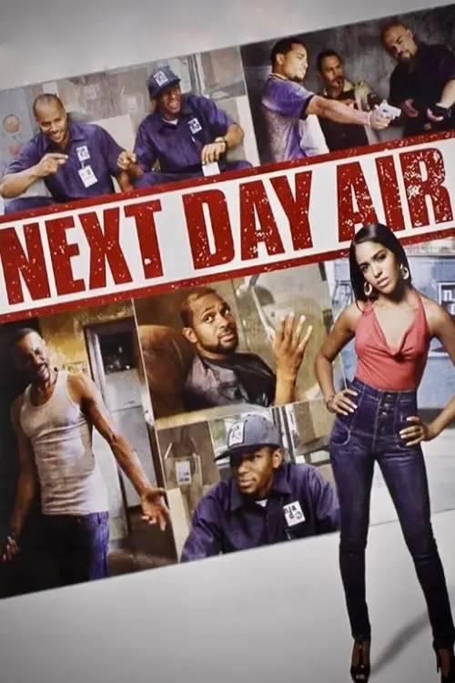 Movie poster "Next Day Air"