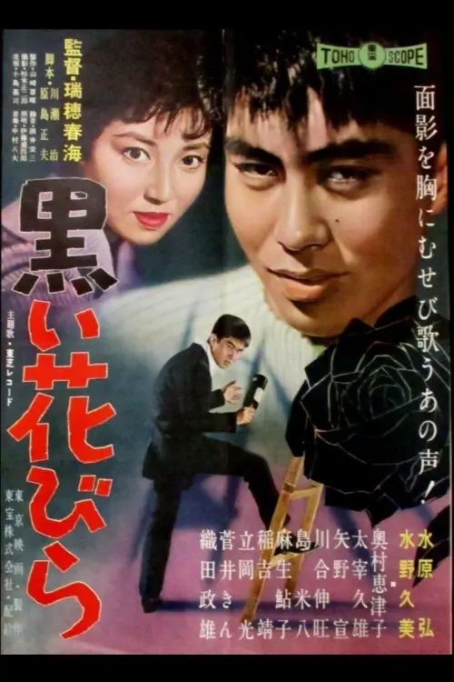 Movie poster "Black Flower Petal"