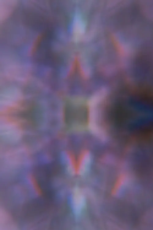 Movie poster "Orchid"