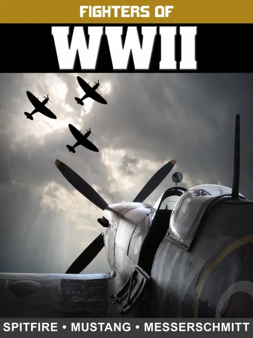Movie poster "Fighters of WWII: Spitfire, Mustang, and Messerschmitt"