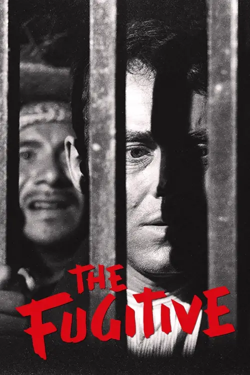 Movie poster "The Fugitive"